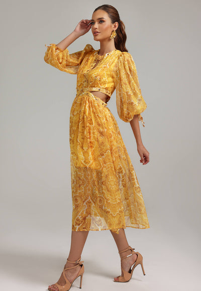 Lantern Sleeves Printed Dress - Lorena