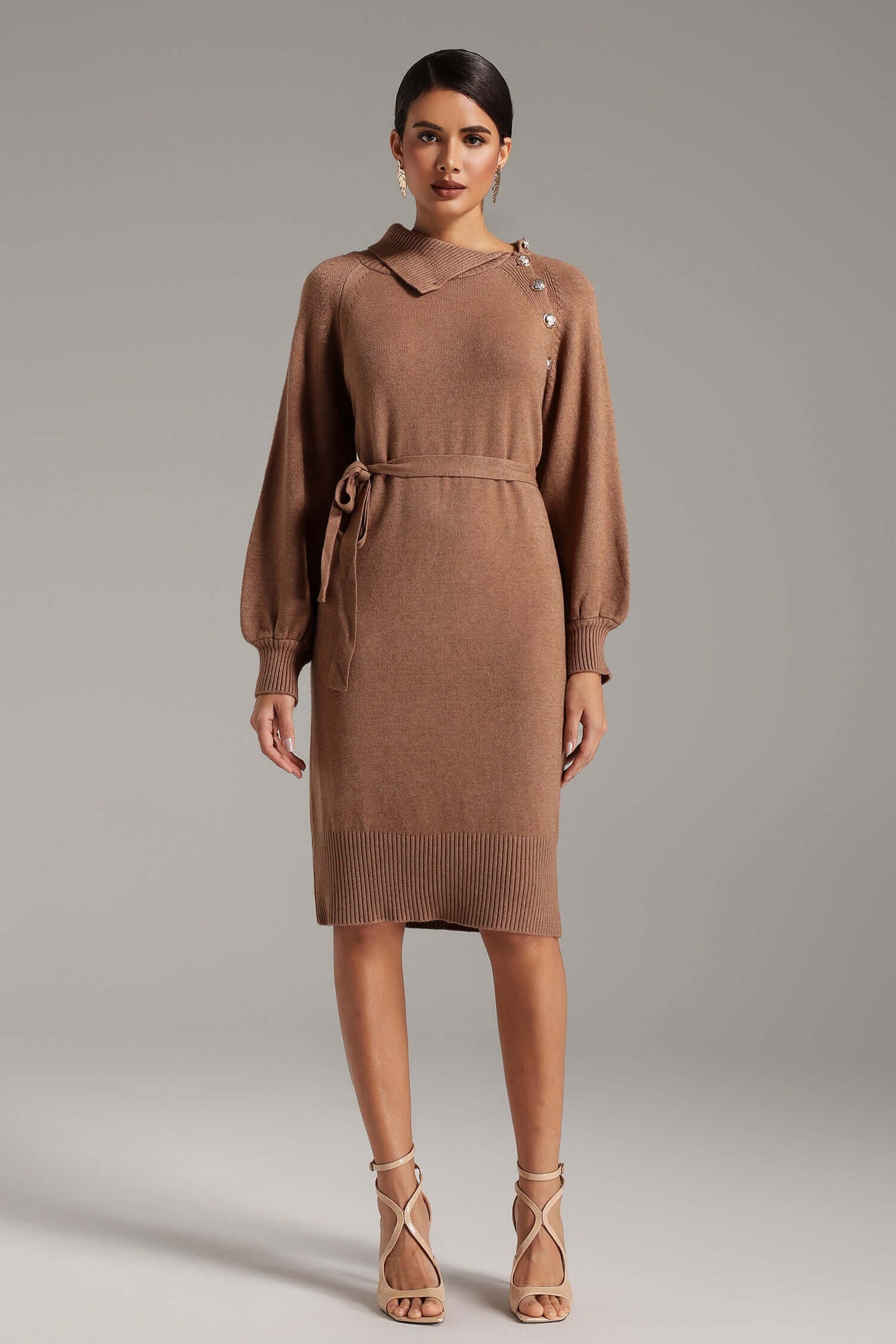 Turtleneck Long Sleeve Dress - Taylor