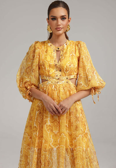 Lantern Sleeves Printed Dress - Lorena