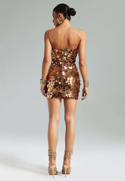 Sequins Sparkling Dress - Flavia